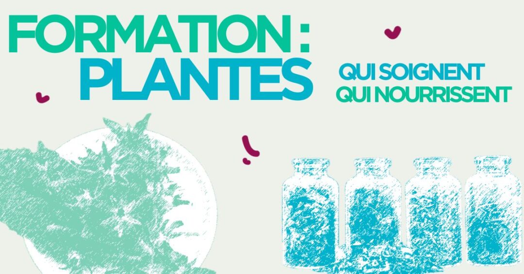 FORM. PLANTES