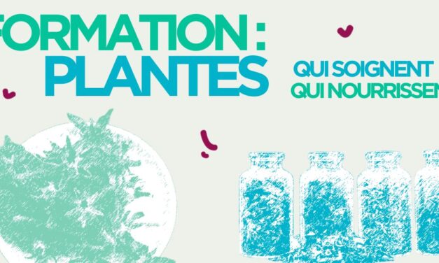FORM. PLANTES