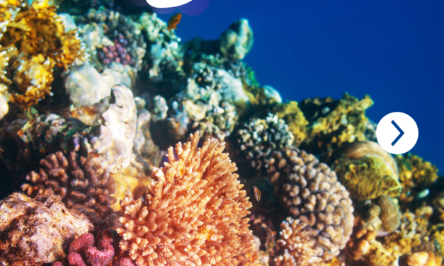 corail1