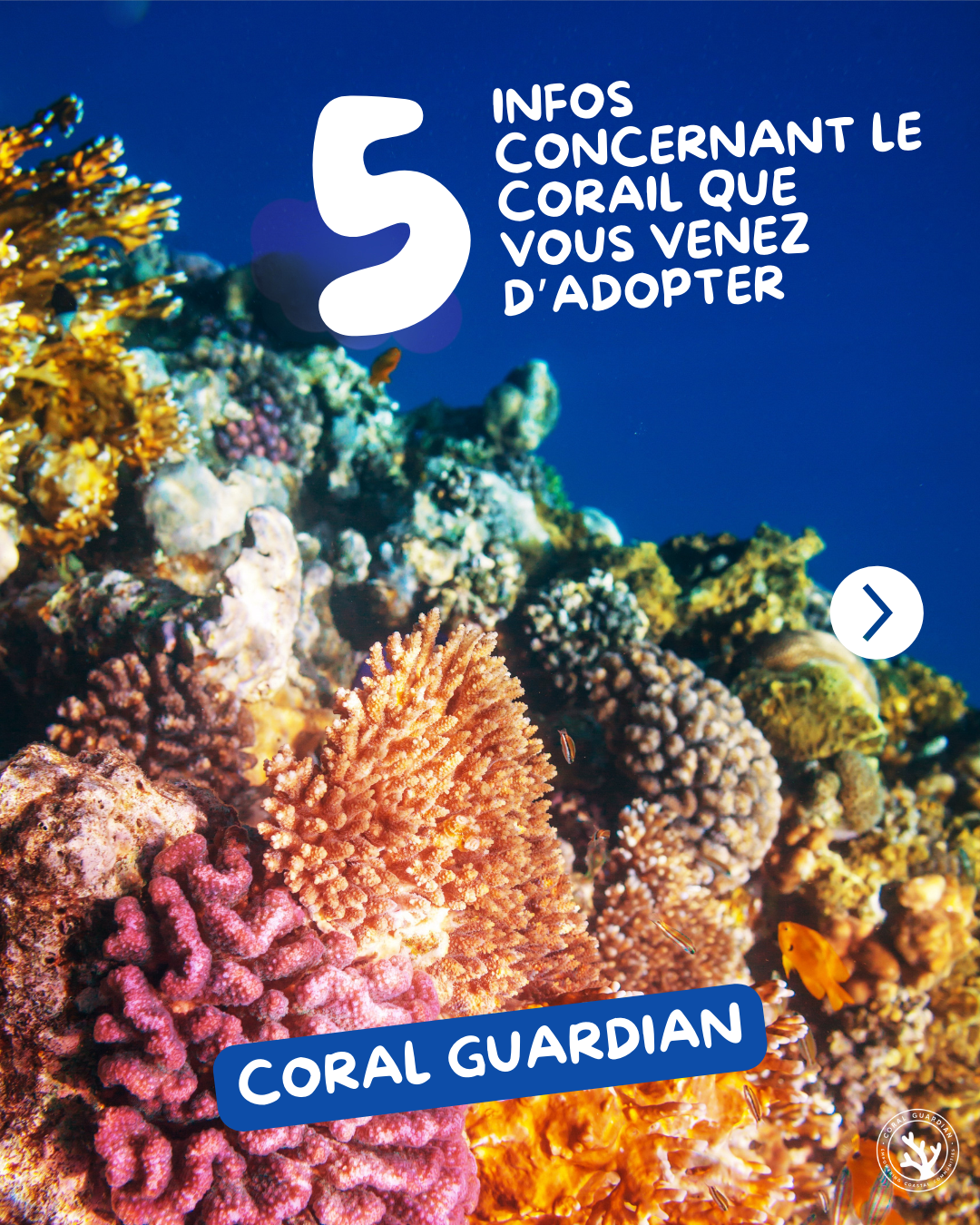 corail1