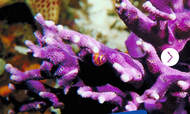 CORAIL2
