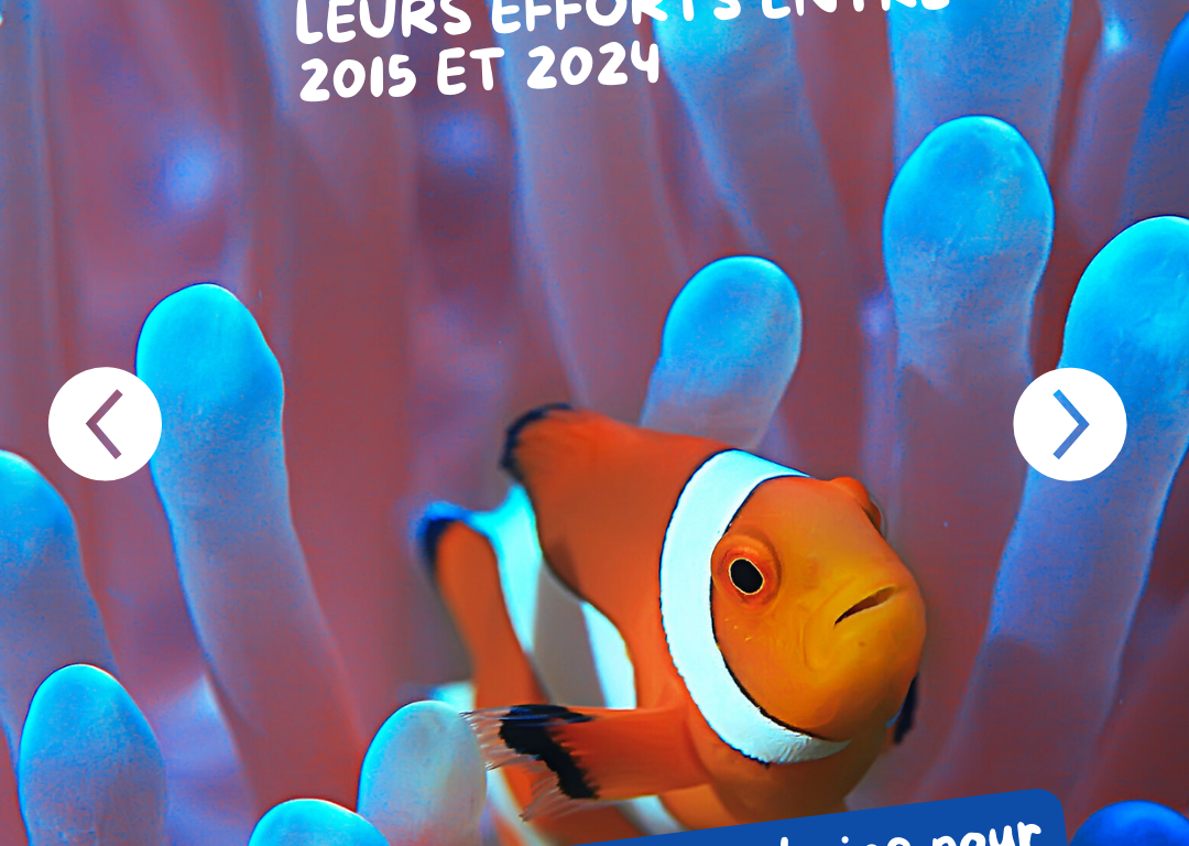 CORAIL5