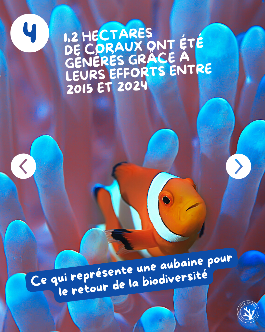CORAIL5