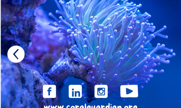 CORAIL7