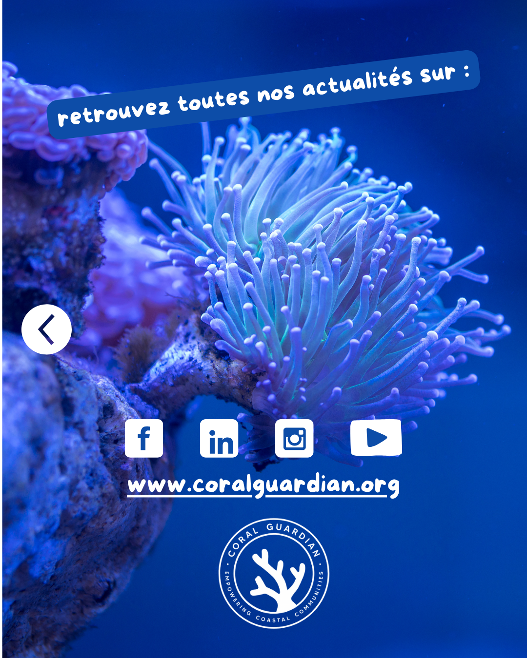 CORAIL7