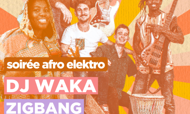 AFRO ELEKTRO