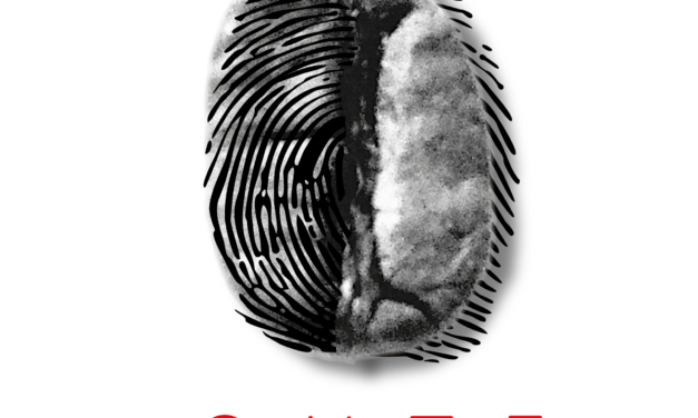 LOGO ONZEHOME