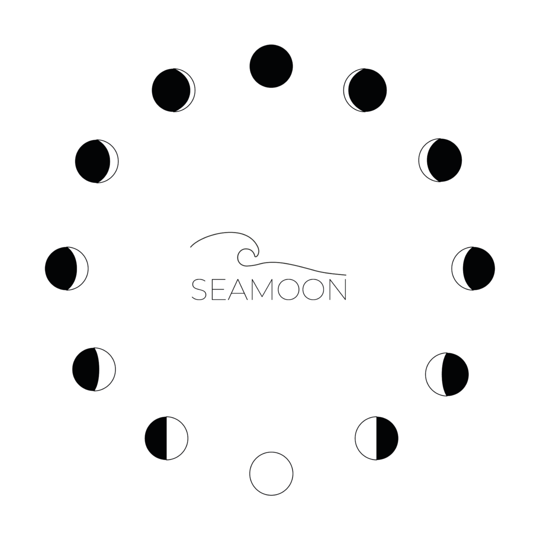 LOGO SEAMOON3