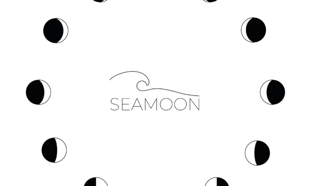 LOGO SEAMOON3