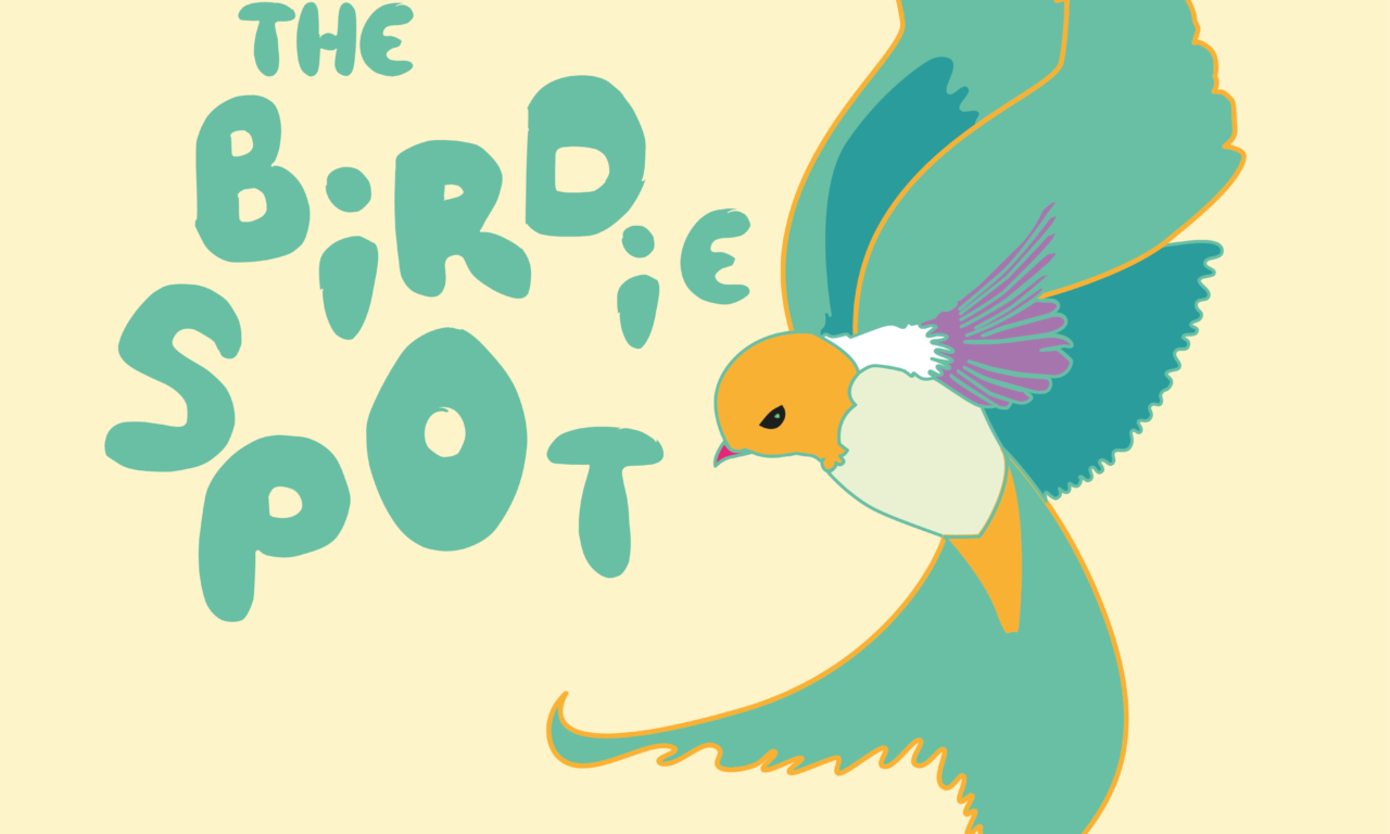 LOGO THE BIRDIE SPOT